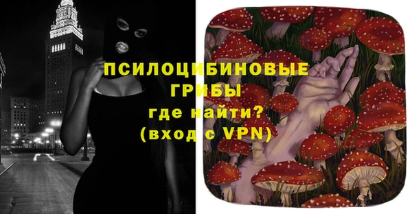 гашик Бугульма