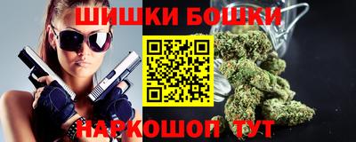 индика Будённовск