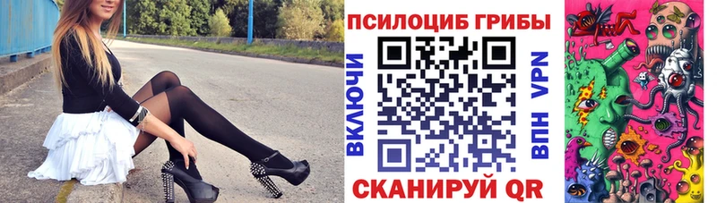 Псилоцибиновые грибы MAGIC MUSHROOMS  OMG сайт  дарк нет какой сайт  купить наркотики сайты  Дзержинск 