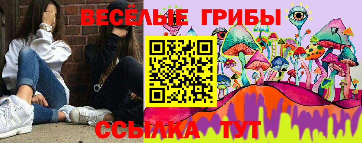 Галлюциногенные грибы мицелий  Псилоцибиновые грибы Psilocybine cubensis  Дзержинск  Вход с VPN 