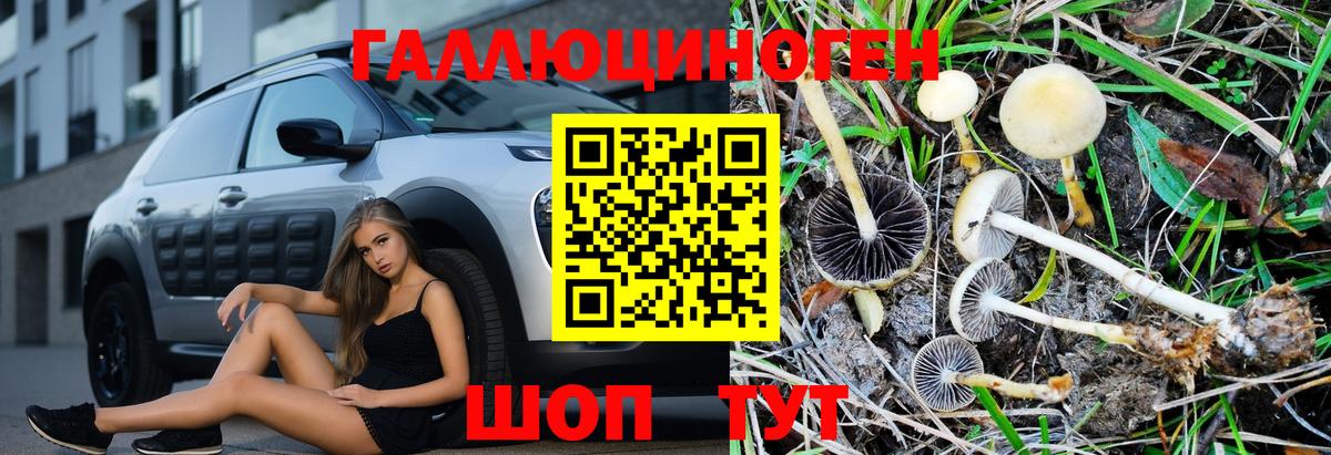 Галлюциногенные грибы прущие грибы Дзержинск